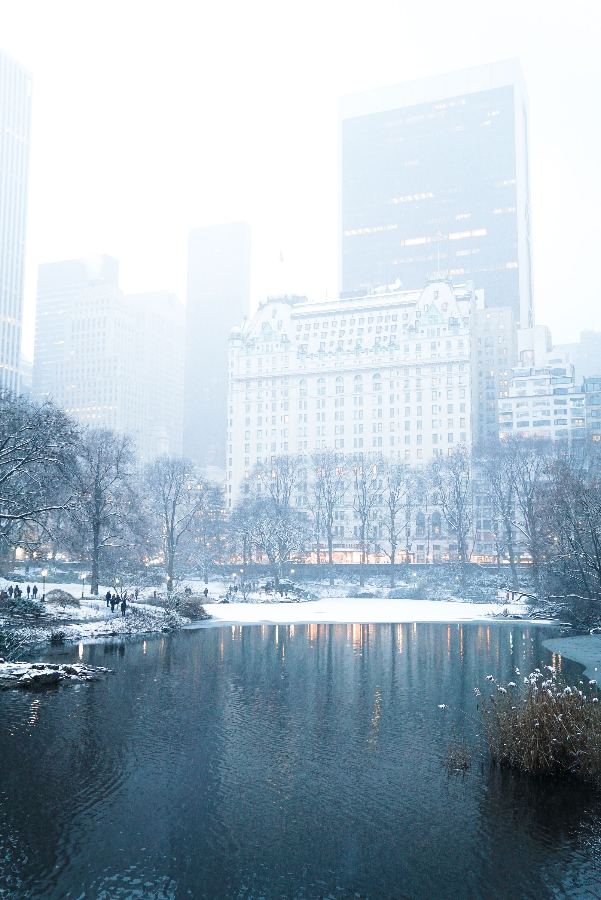 NYC - Cental Park in Winter