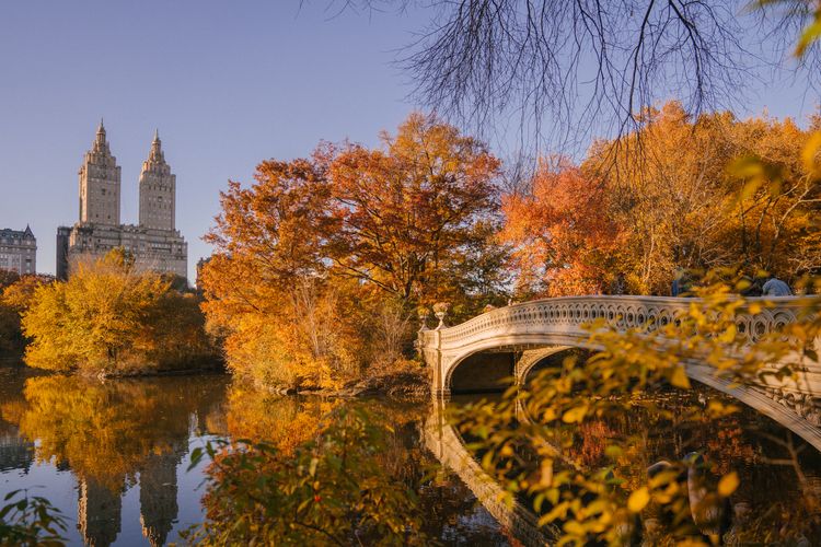 A Beginner's Guide to Central Park